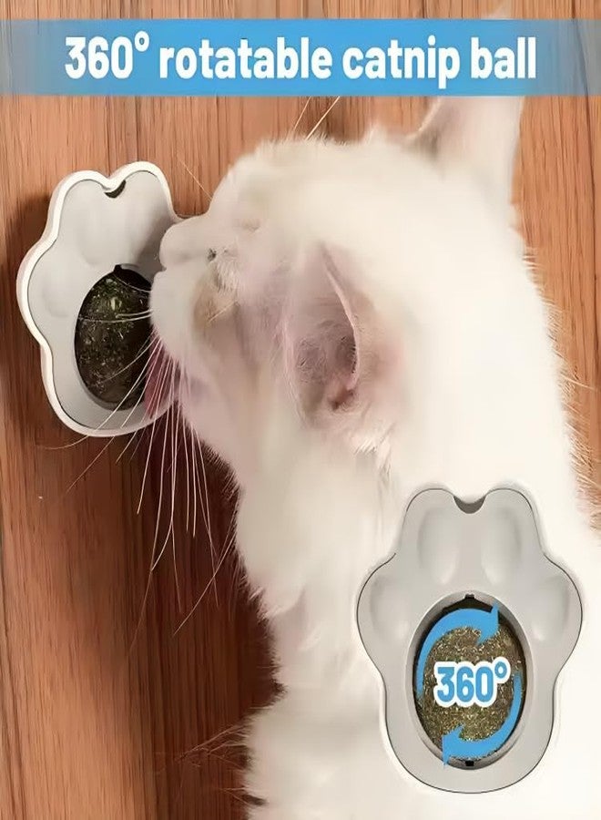 PET FUN Paw Shaped Cat Toy with Catnip & Silvervine | Natural Licking Wall Ball|Pack of 4 - Image 2